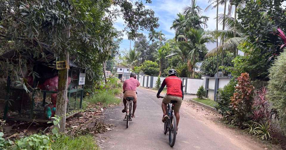 Cycle South India - Tamil Nadu to Kerala - Explore - India - Image 5