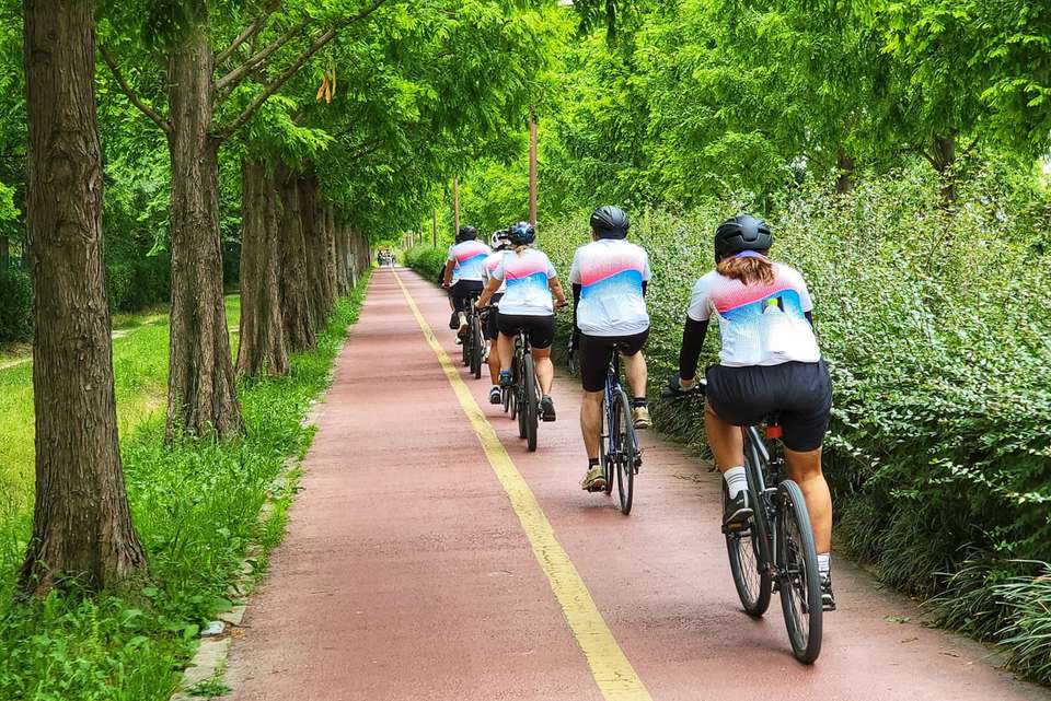 Cycle South Korea - Intrepid Travel - South Korea - Image 12