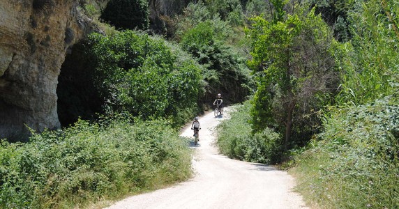 Image 5 of 13