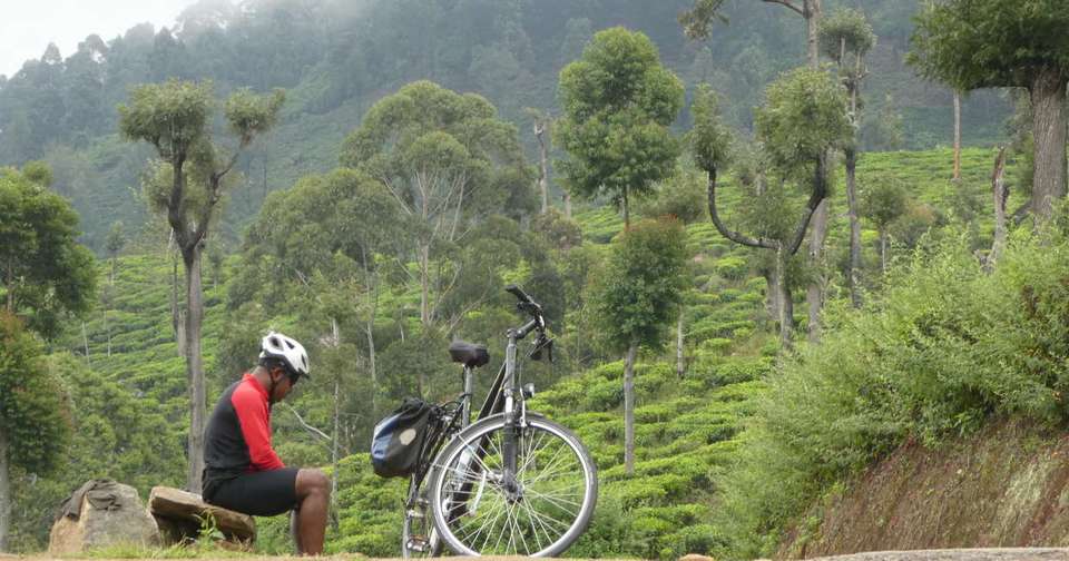 Cycle Sri Lanka - Explore - Sri Lanka - Image 3