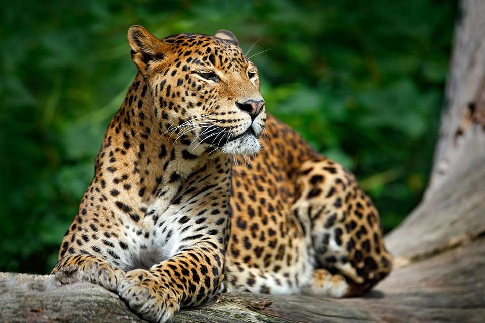 Cycle Sri Lanka - Intrepid Travel - Sri Lanka