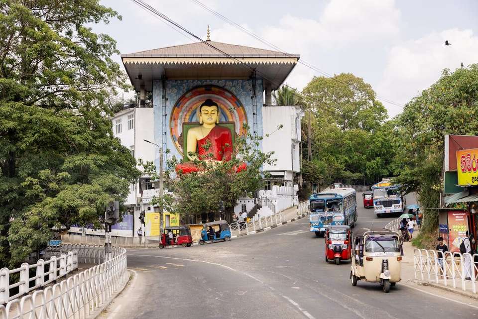Cycle Sri Lanka - Intrepid Travel - Sri Lanka