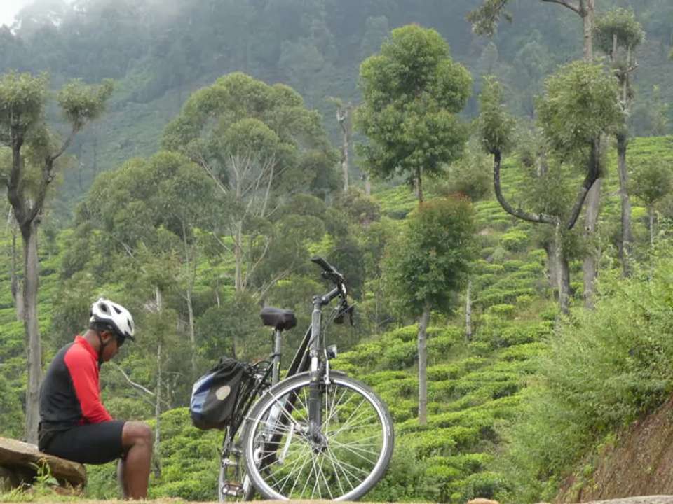 Cycle Sri Lanka - undefined - Image 14