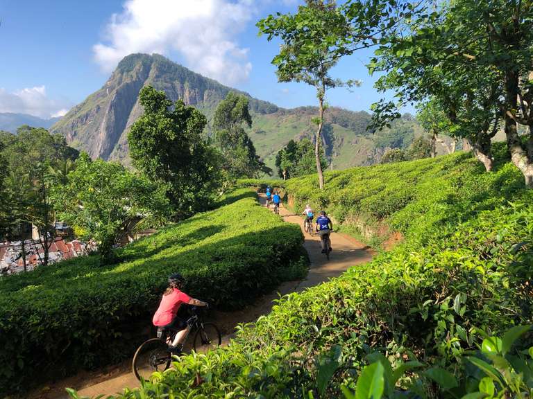 Cycle the Back Roads of Sri Lanka