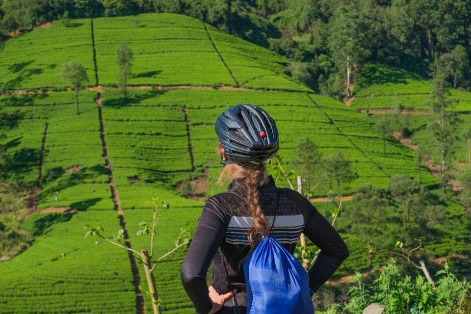 Cycle the Back Roads of Sri Lanka - Exodus Adventure Travels - Sri Lanka - Image 17