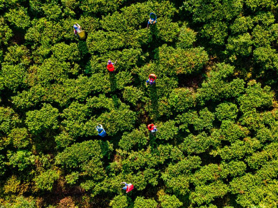 Cycle the Back Roads of Sri Lanka - Exodus Adventure Travels - Sri Lanka - Image 8