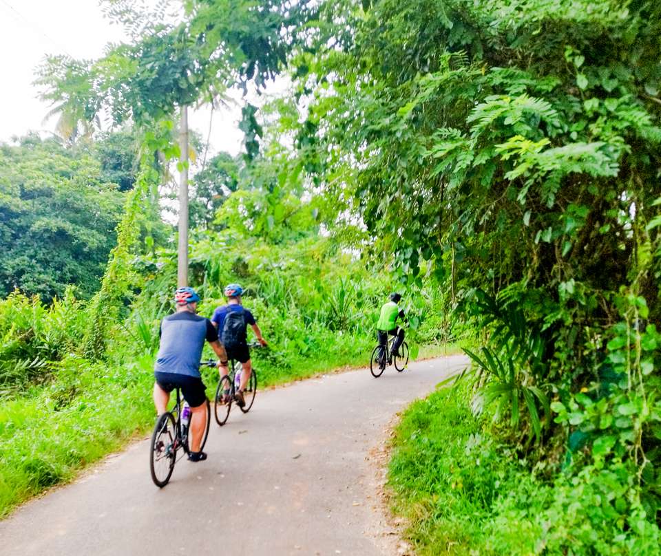 Cycle the Coast of Kerala - Exodus Adventure Travels - India - Image 17