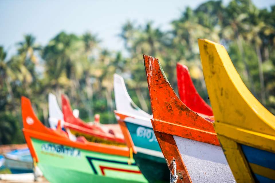 Cycle the Coast of Kerala - Exodus Adventure Travels - India - Image 15