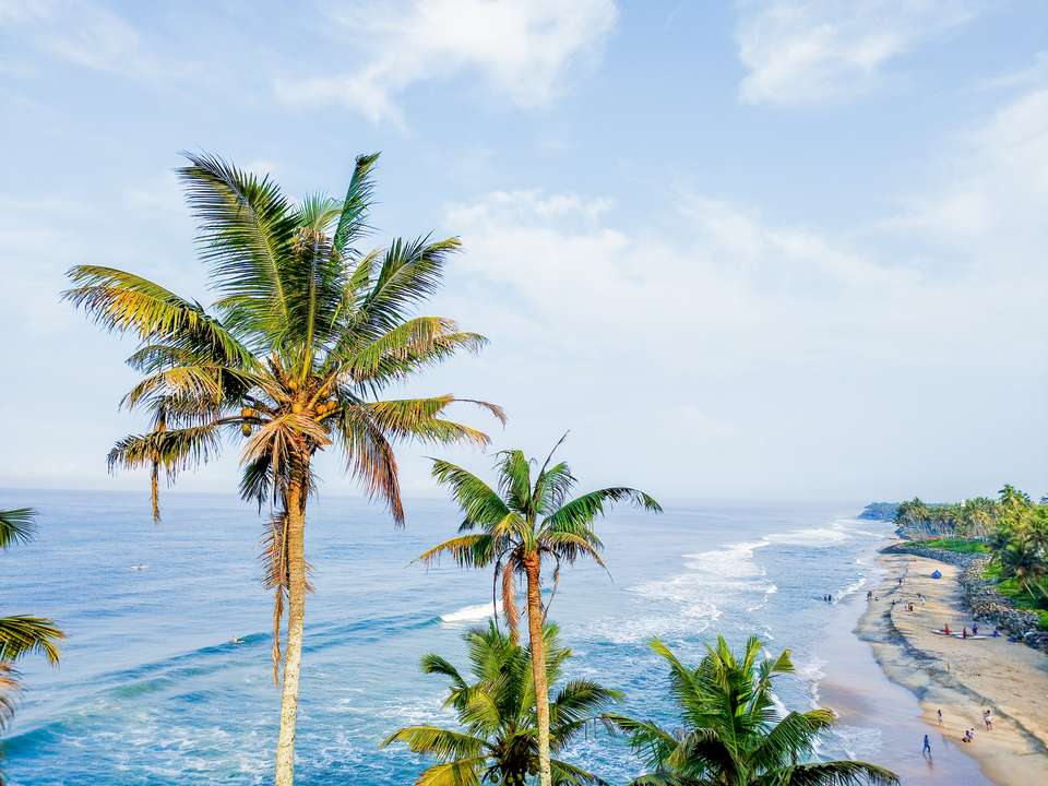 Cycle the Coast of Kerala - Exodus Adventure Travels - India - Image 5