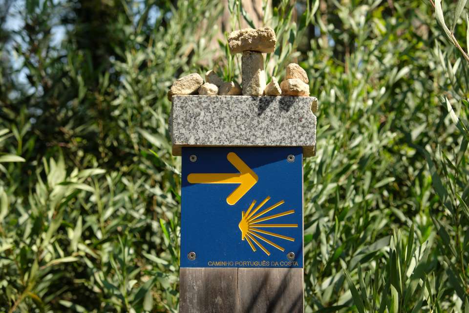 Cycle the Coastal Portuguese Camino - Exodus Adventure Travels - Portugal - Image 11
