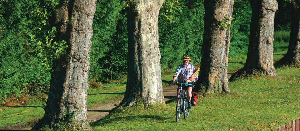 Cycle the Loire - Nevers to Orléans - Utracks - France - Image 3