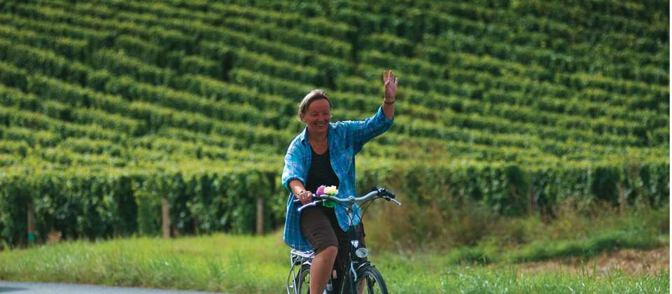 Cycle the Loire - Nevers to Orléans - Utracks - France - Image 5