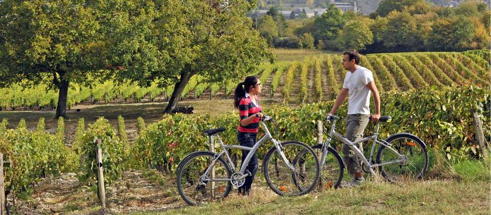 Cycle the Loire - Orléans to the Atlantic Coast - Utracks - France - Image 5