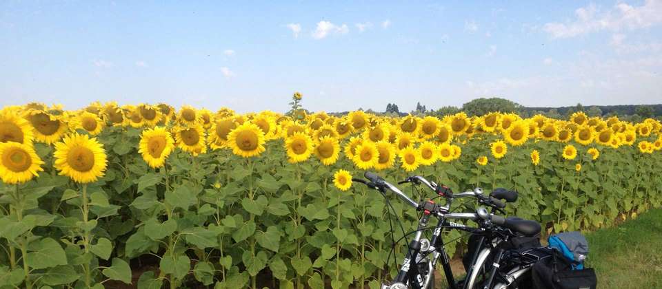 Cycle the Loire - Orléans to the Atlantic Coast - Utracks - France - Image 10