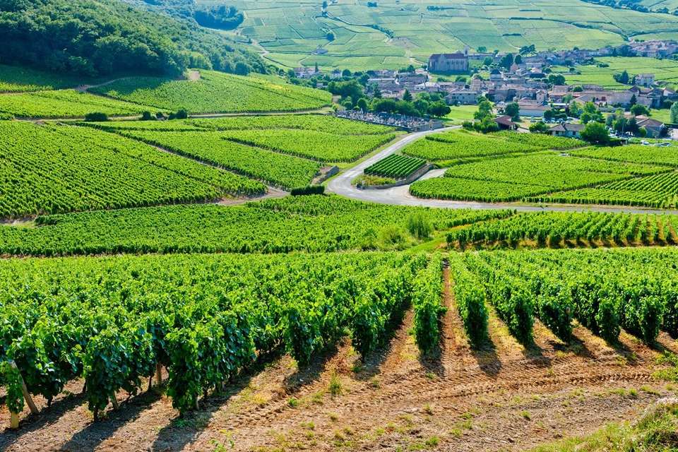 Cycle the Loire Valley - Exodus Adventure Travels - France - Image 2
