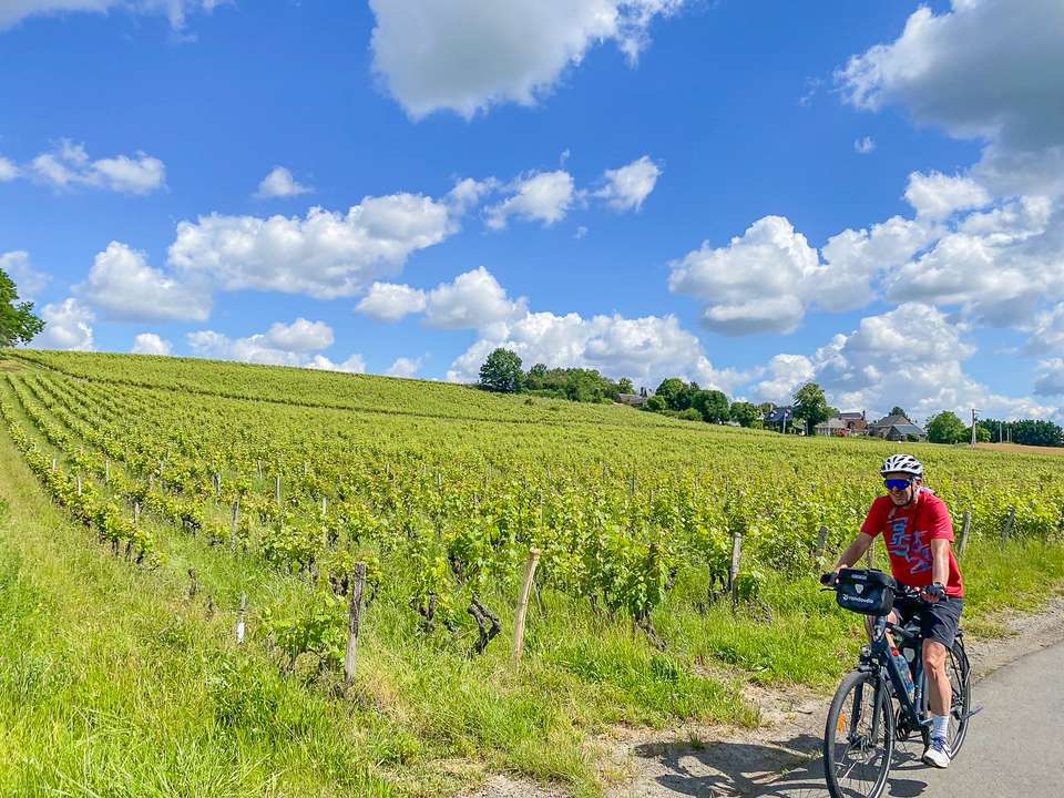 Cycle the Loire Valley - undefined - Image 5