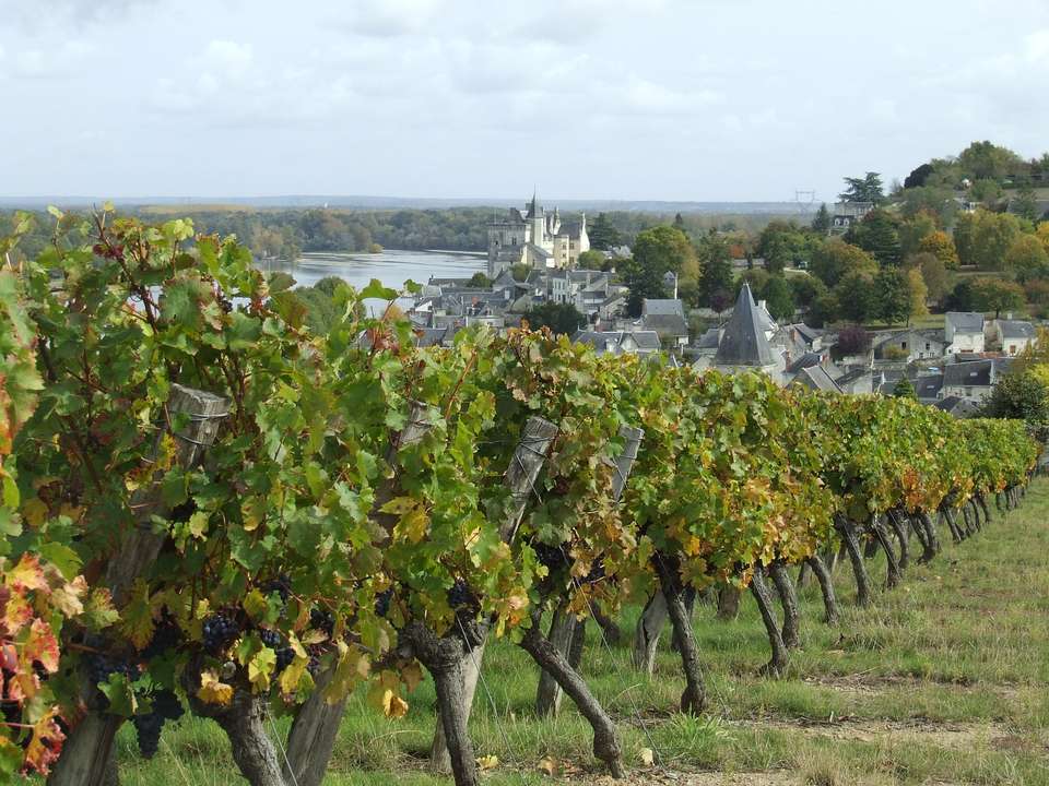 Cycle the Loire Valley - undefined - Image 13