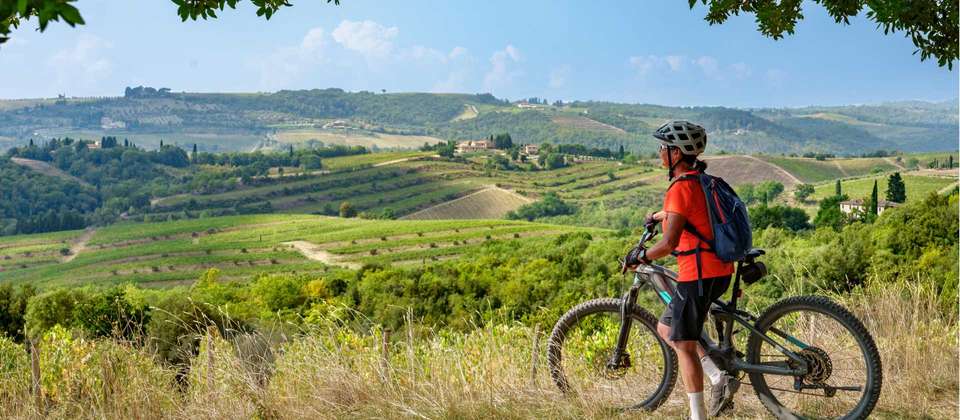 Cycle the Via Francigena - Parma to Siena - Utracks - Italy - Image 2