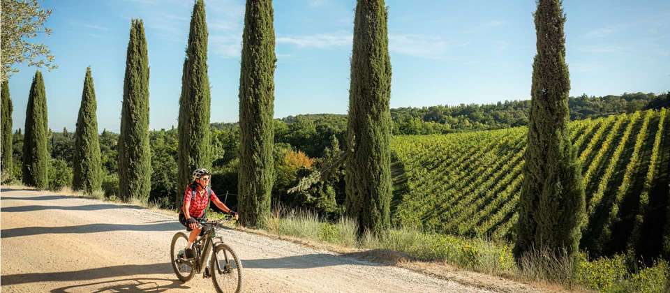 Cycle the Via Francigena - Parma to Siena - Utracks - Italy - Image 3