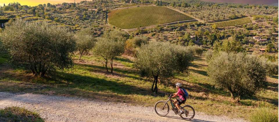 Cycle the Via Francigena - Parma to Siena - Utracks - Italy - Image 5