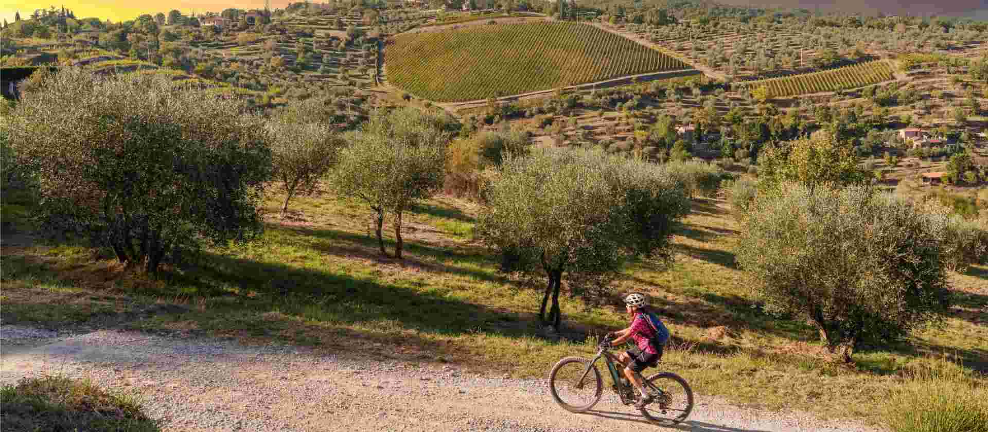 Cycle the Via Francigena - Siena to Rome
