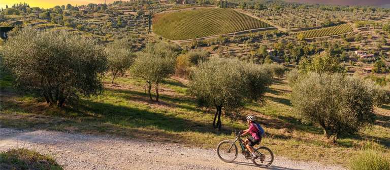 Cycle the Via Francigena - Siena to Rome trip - alternative tour available