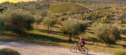 Cycle The Via Francigena - Siena To Rome - Fall Tours