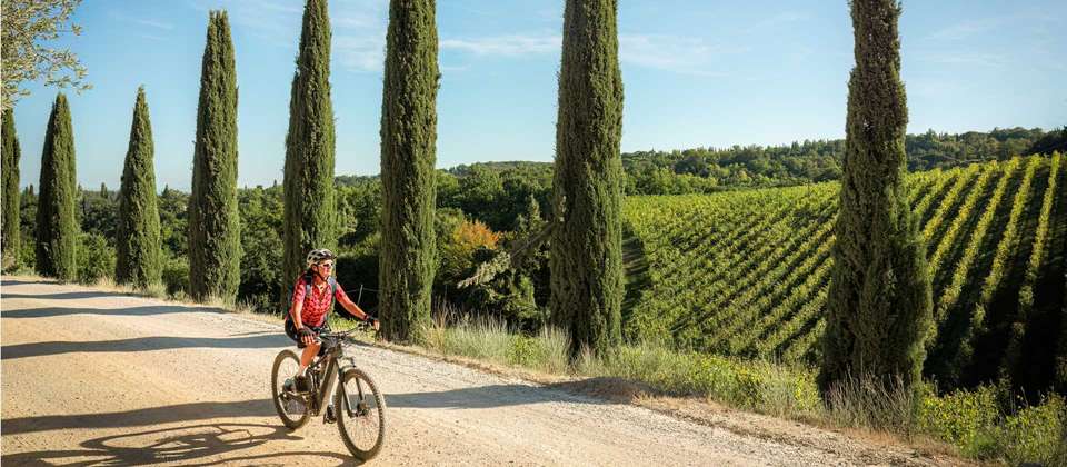 Cycle the Via Francigena - Siena to Rome - Utracks - Italy - Image 7