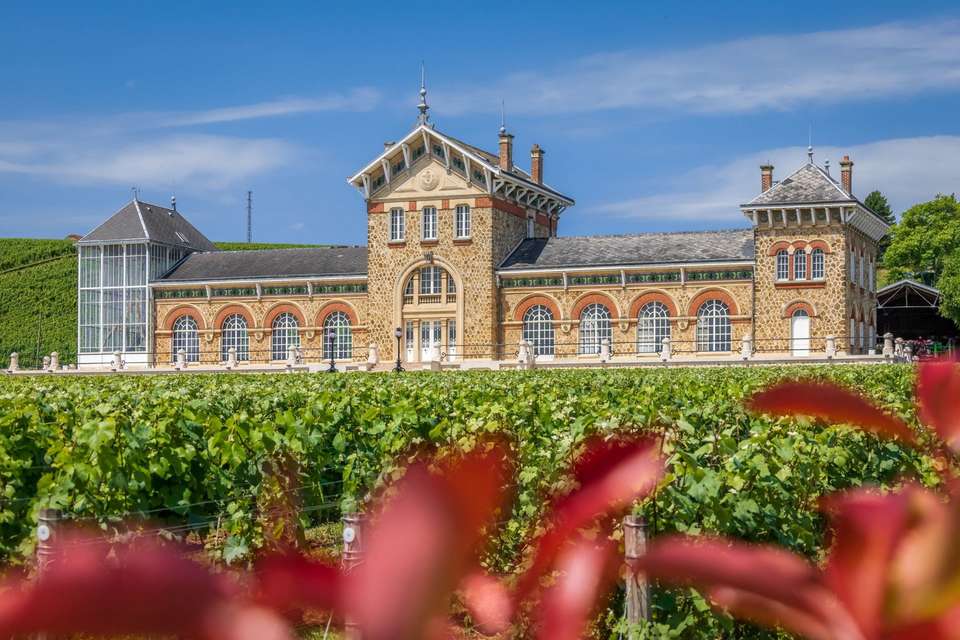 Cycle the Wine Route of Champagne - undefined - Image 6