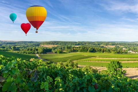 Cycle The Wine Route Of Champagne