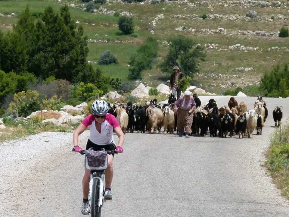 Cycle Turkey - undefined - Image 11
