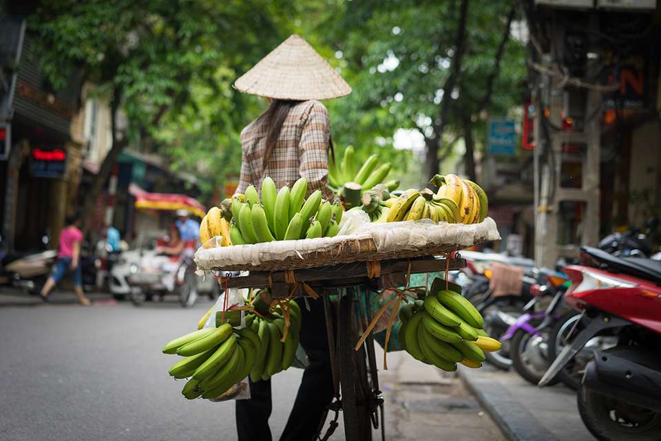 Cycle Vietnam - Intrepid Travel - Vietnam - Image 5