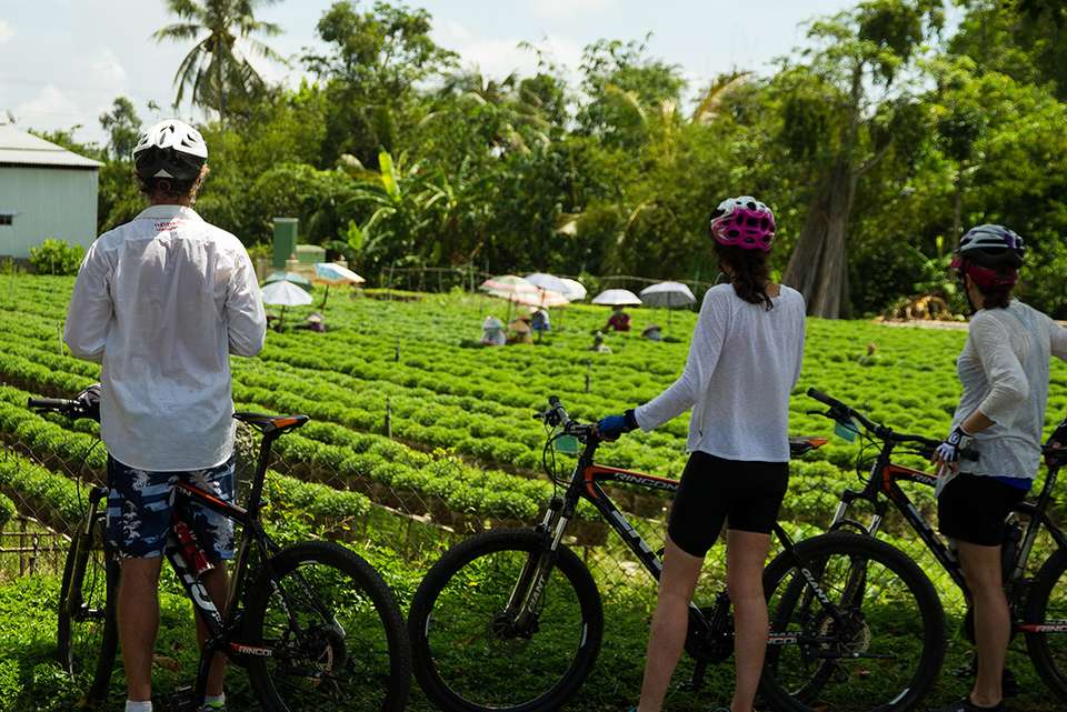 Cycle Vietnam - Intrepid Travel - Vietnam - Image 7
