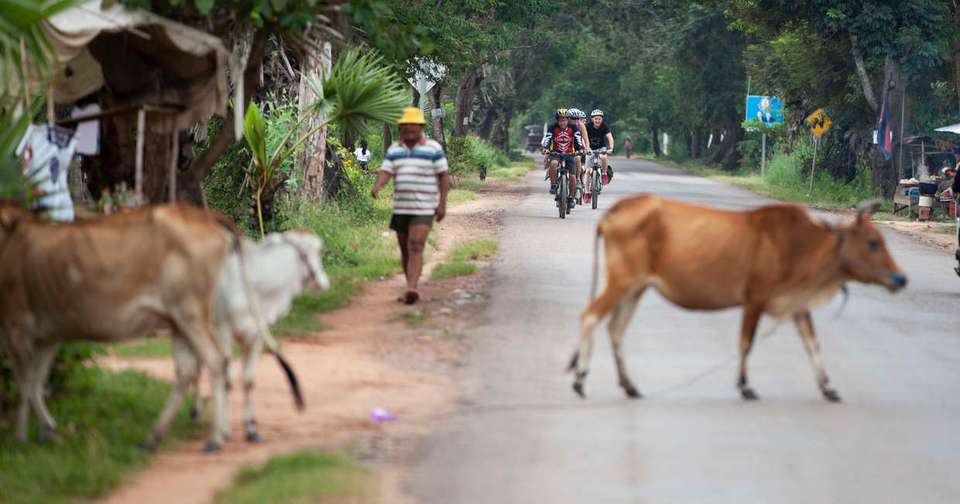 Cycle Vietnam and Cambodia - undefined - Image 12