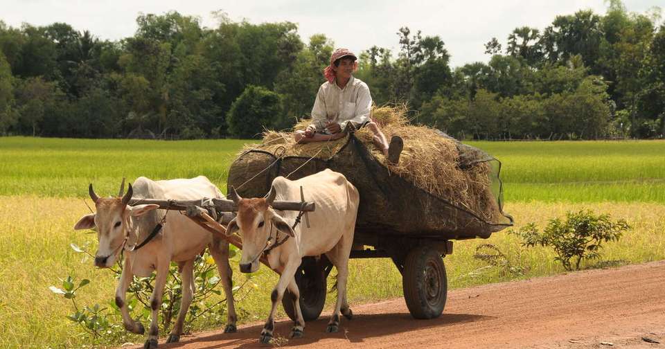 Cycle Vietnam and Cambodia - undefined - Image 6