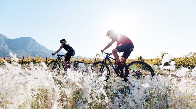 Cycling & Wine Tasting in the Winelands