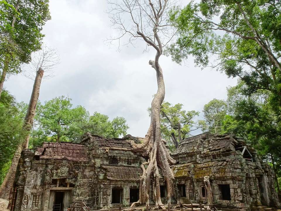 Cycling Cambodia - 7 days - On The Go Tours - Cambodia - Image 5