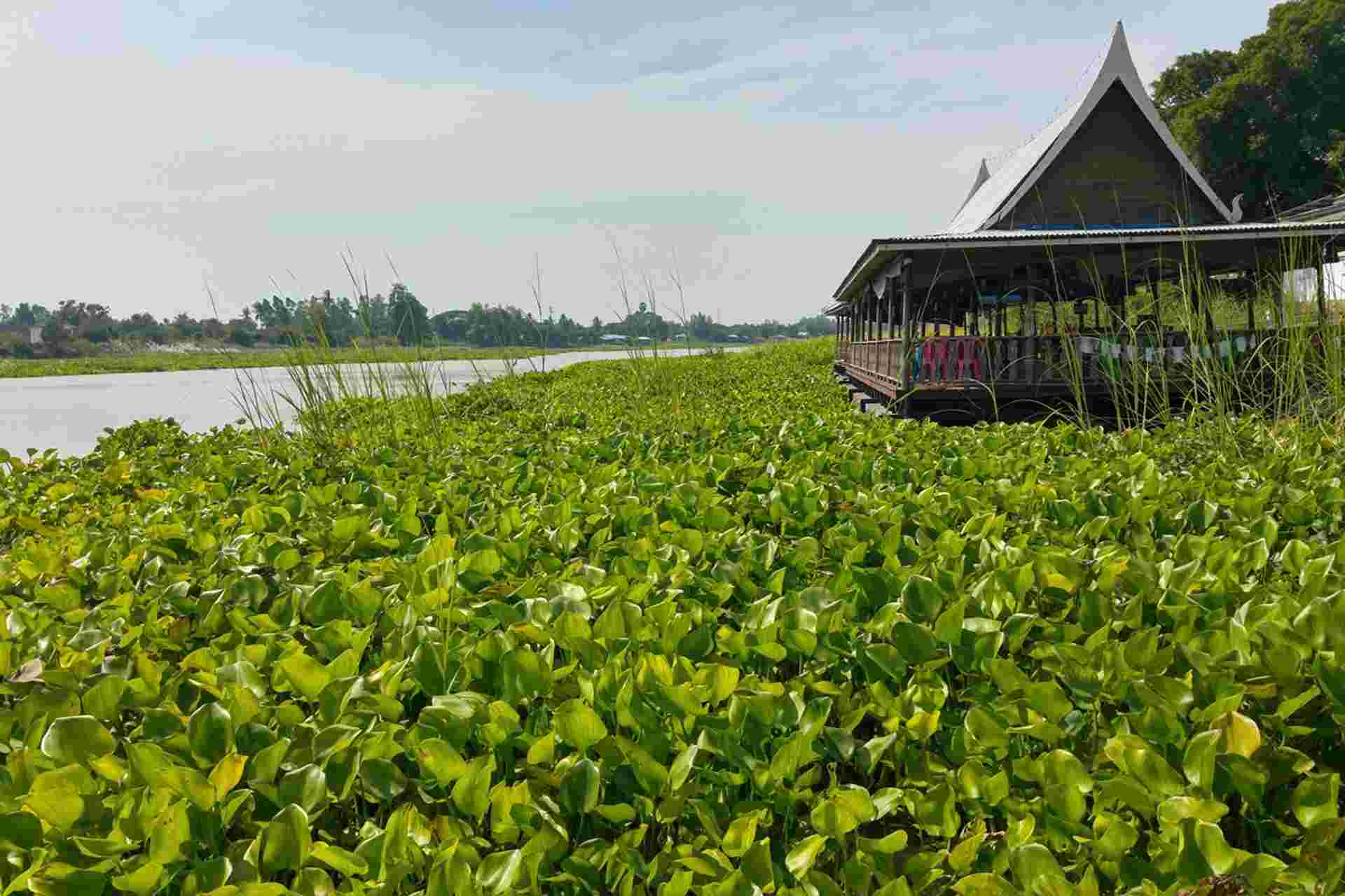 Road Cycling Chiang Mai to Bangkok