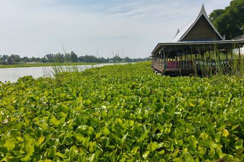 Road Cycling Chiang Mai To Bangkok - November 2026