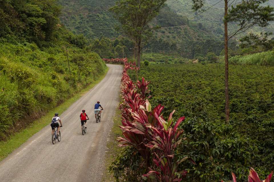 Cycling Costa Rica - undefined - Image 12