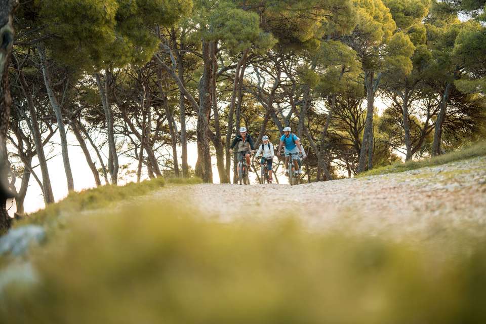 Cycling Croatia's Istrian Peninsula - Exodus Adventure Travels - Croatia - Image 16
