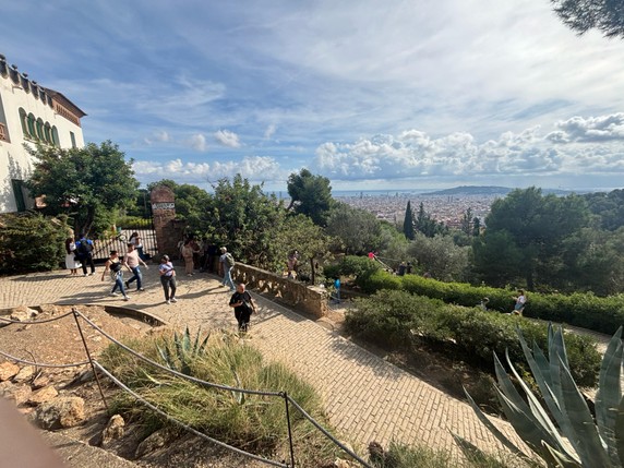 Image 3 of 23