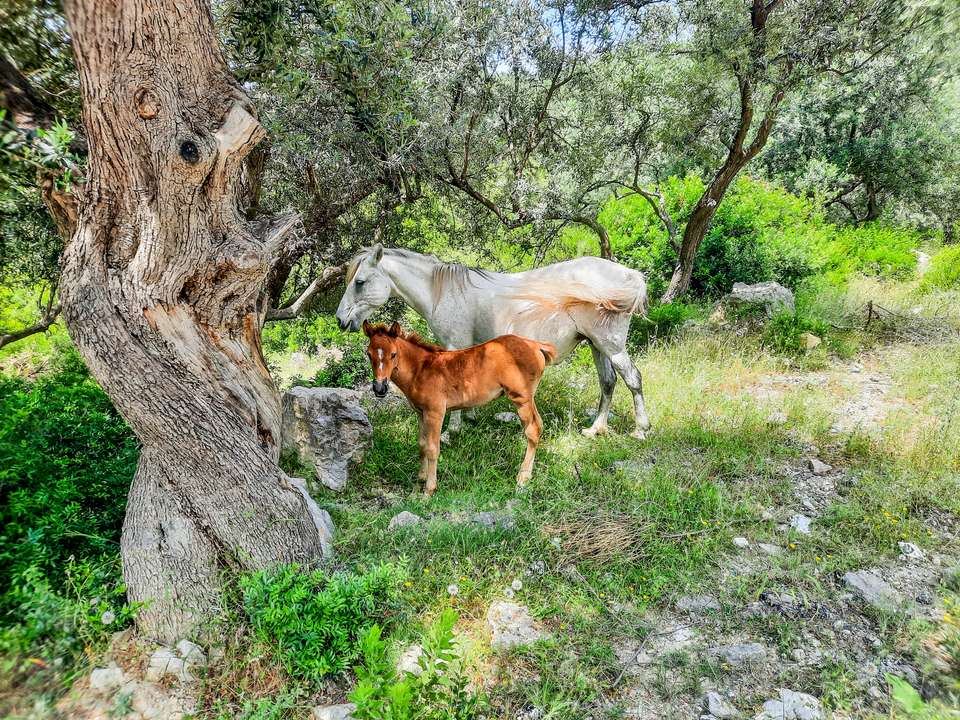 Cycling in Albania - Exodus Adventure Travels - Albania - Image 11