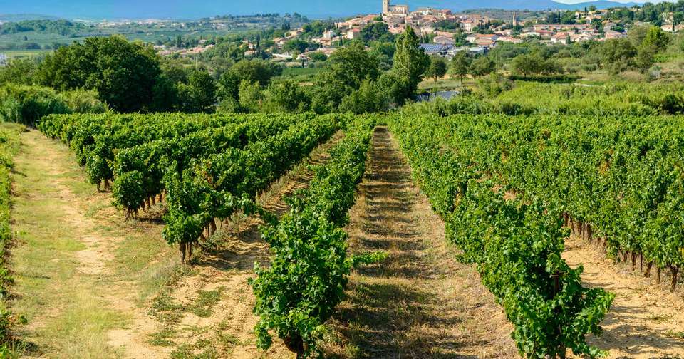 Cycling in France - Canals and Castles of the Midi - Explore - France - Image 13