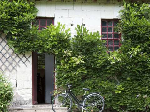 France Bicycle Tours Tour: Cycling In France - Loire Valley