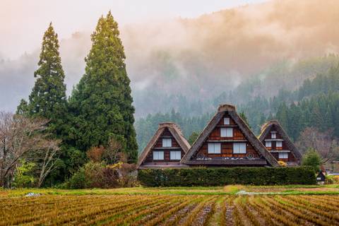 Cycling In Japan - March 2026