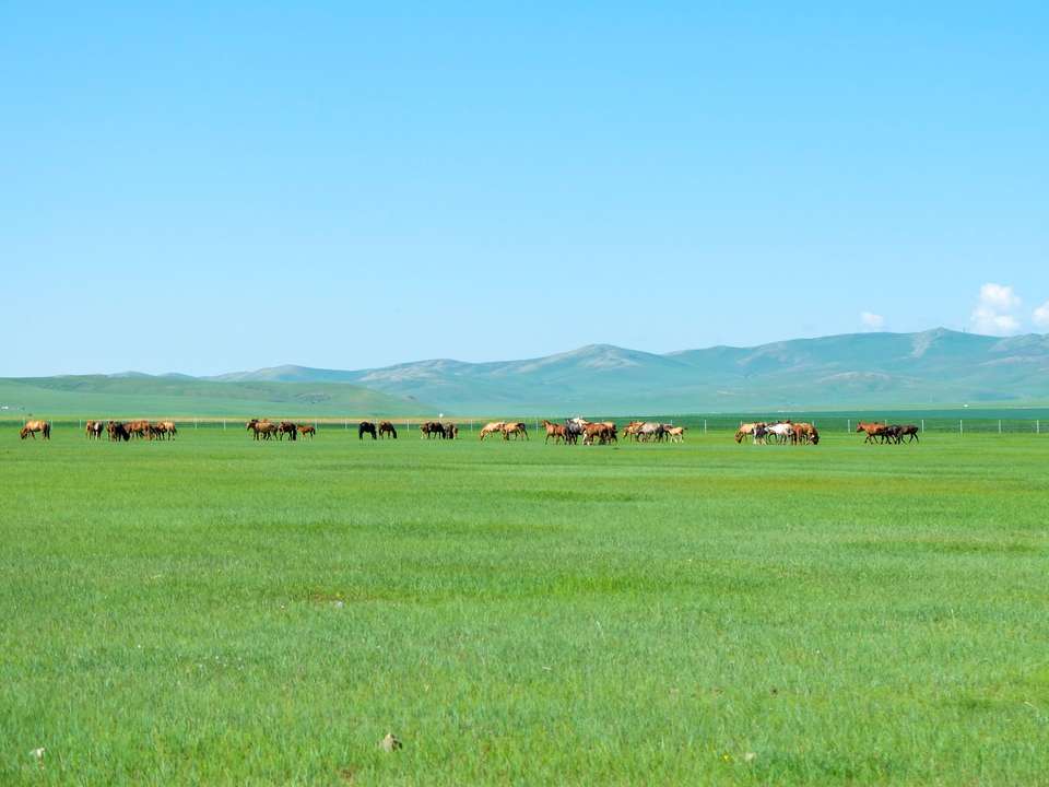 Cycling in Mongolia - Exodus Adventure Travels - Mongolia - Image 4