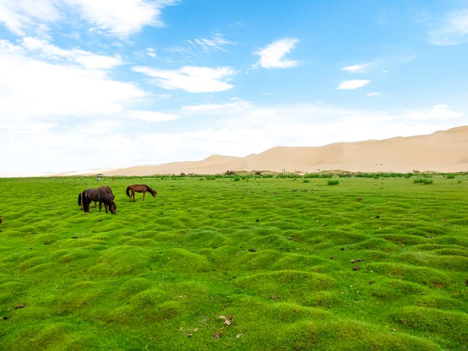 Cycling in Mongolia - Exodus Adventure Travels - Mongolia - Image 6