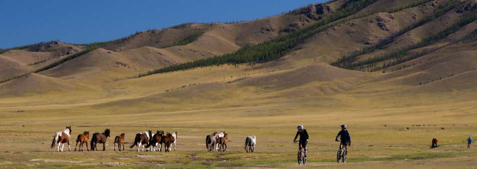 Cycling in Mongolia - Exodus Adventure Travels - Mongolia - Image 15