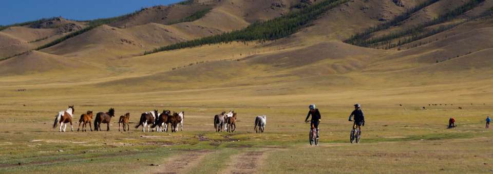 Cycling in Mongolia - Naadam Festival - Exodus Adventure Travels - Mongolia